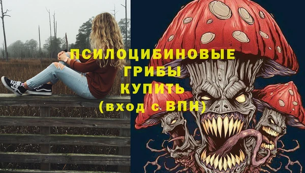 бутират Ельня