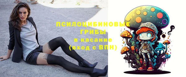 прущий лед Елизово