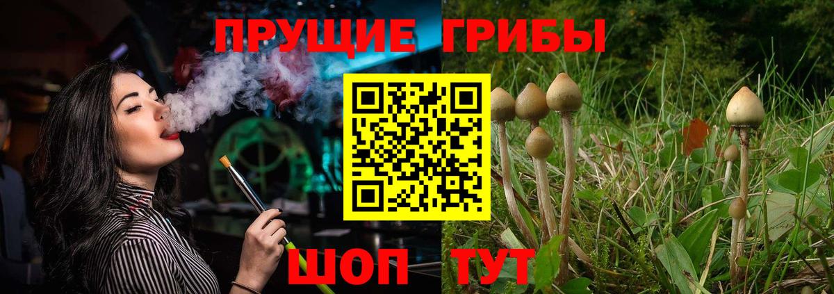 Галлюциногенные грибы GOLDEN TEACHER  Вход с VPN  Псилоцибиновые грибы Magic Shrooms  Волгодонск 